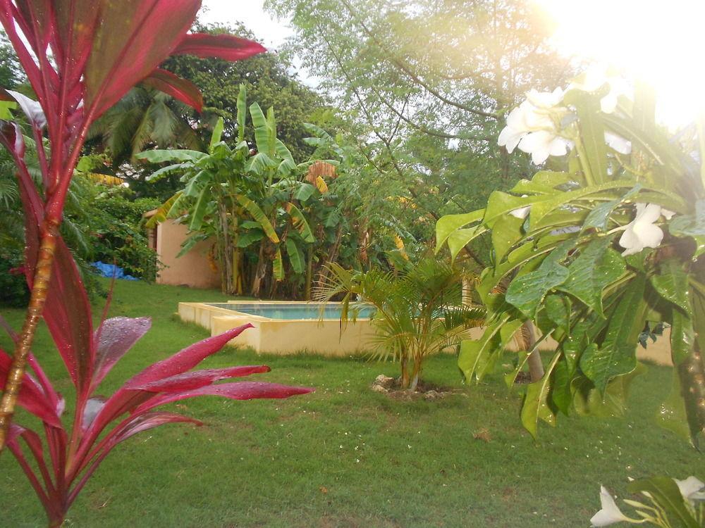 Gipsy Ranch Rooms Cabarete Eksteriør billede